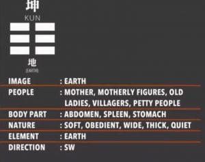 The 8 Guas | Eight Trigrams Palm Guidance